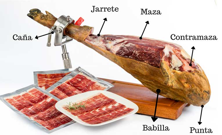 Parts of the ham